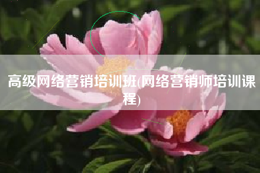 高级网络营销培训班(网络营销师培训课程)
