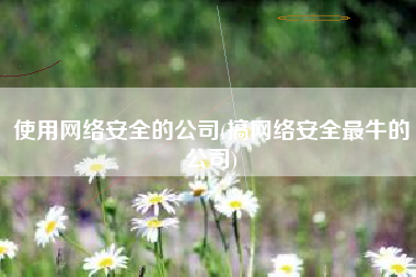使用网络安全的公司(搞网络安全最牛的公司)