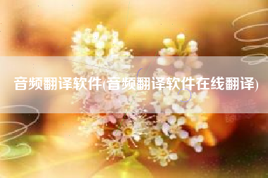 音频翻译软件(音频翻译软件在线翻译)