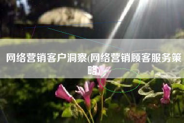 网络营销客户洞察(网络营销顾客服务策略)