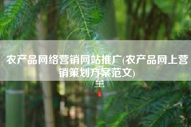 农产品网络营销网站推广(农产品网上营销策划方案范文)