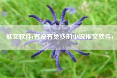 推文软件(有没有免费的小说推文软件)