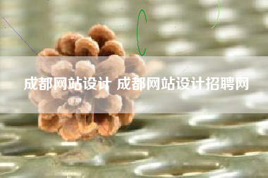 成都网站设计 成都网站设计招聘网