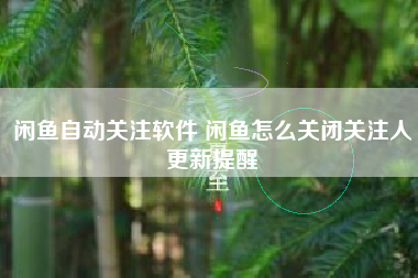 闲鱼自动关注软件 闲鱼怎么关闭关注人更新提醒