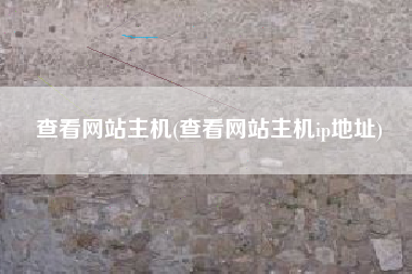 查看网站主机(查看网站主机ip地址)