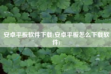 安卓平板软件下载(安卓平板怎么下载软件)