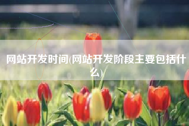 网站开发时间(网站开发阶段主要包括什么)