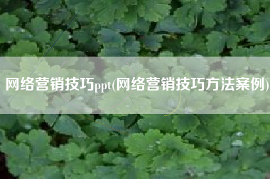 网络营销技巧ppt(网络营销技巧方法案例)