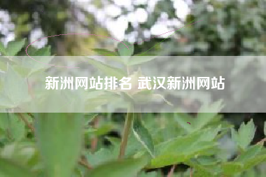 新洲网站排名 武汉新洲网站
