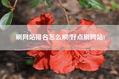 刷网站排名怎么刷(好点刷网站)