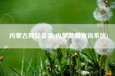 内蒙古网站备案(内蒙备案查询系统)