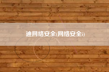 迪网络安全(网络安全i)