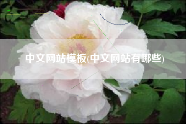中文网站模板(中文网站有哪些)