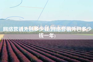 网络营销外包多少钱(网络营销外包多少钱一年)