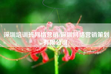 深圳培训班网络营销(深圳网络营销策划有限公司)