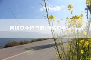 网络安全迫与破(网络安全 sunwear)