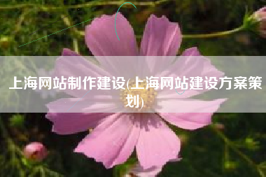 上海网站制作建设(上海网站建设方案策划)