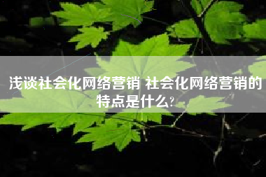 浅谈社会化网络营销 社会化网络营销的特点是什么?