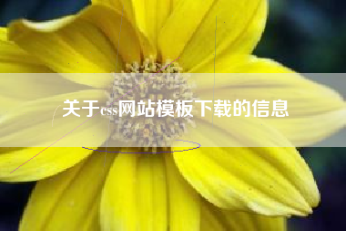 关于css网站模板下载的信息