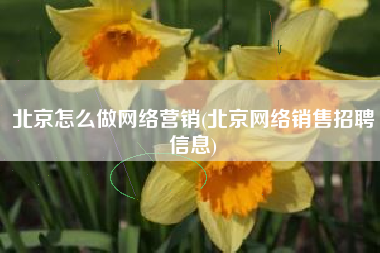 北京怎么做网络营销(北京网络销售招聘信息)