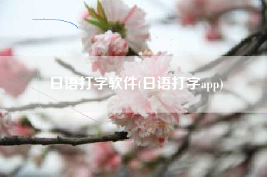 日语打字软件(日语打字app)