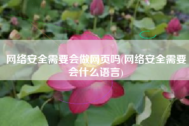 网络安全需要会做网页吗(网络安全需要会什么语言)