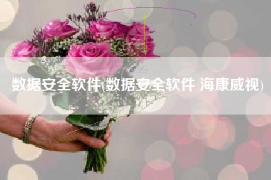 数据安全软件(数据安全软件 海康威视)