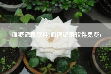 血糖记录软件(血糖记录软件免费)