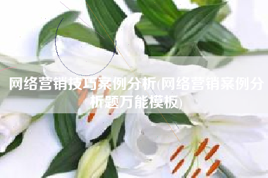 网络营销技巧案例分析(网络营销案例分析题万能模板)