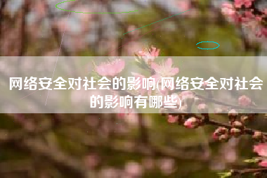 网络安全对社会的影响(网络安全对社会的影响有哪些)