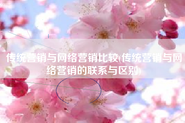 传统营销与网络营销比较(传统营销与网络营销的联系与区别)