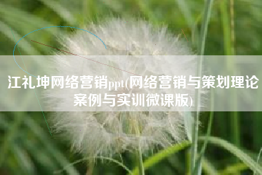 江礼坤网络营销ppt(网络营销与策划理论案例与实训微课版)