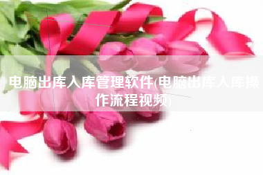 电脑出库入库管理软件(电脑出库入库操作流程视频)