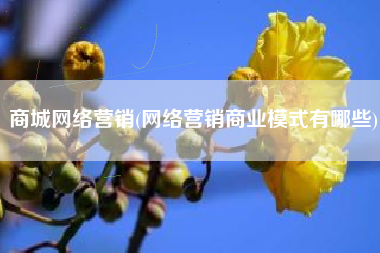 商城网络营销(网络营销商业模式有哪些)
