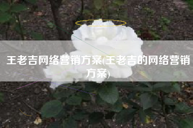 王老吉网络营销方案(王老吉的网络营销方案)