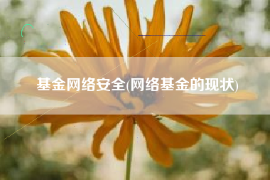 基金网络安全(网络基金的现状)