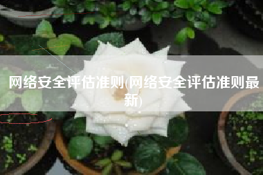 网络安全评估准则(网络安全评估准则最新)