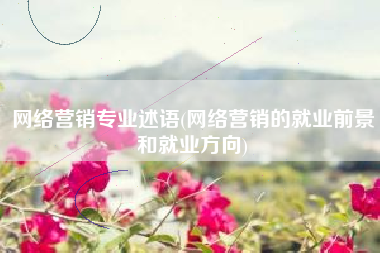 网络营销专业述语(网络营销的就业前景和就业方向)