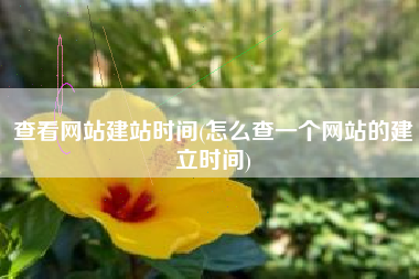 查看网站建站时间(怎么查一个网站的建立时间)