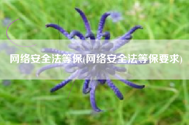 网络安全法等保(网络安全法等保要求)