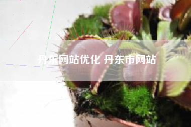 丹东网站优化 丹东市网站