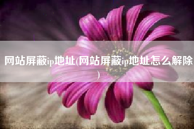 网站屏蔽ip地址(网站屏蔽ip地址怎么解除)