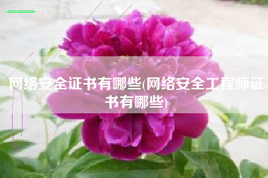 网络安全证书有哪些(网络安全工程师证书有哪些)