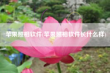 苹果照相软件(苹果照相软件长什么样)