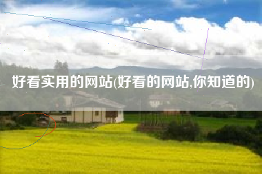 好看实用的网站(好看的网站,你知道的)