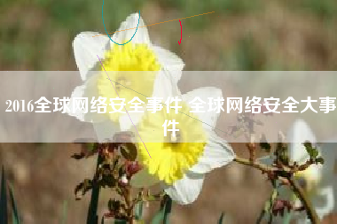 2016全球网络安全事件 全球网络安全大事件