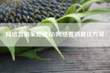 网络营销策略建议(网络营销建议方案)
