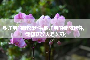 最好用的截图软件(最好用的截图软件,一截图就放大怎么办)