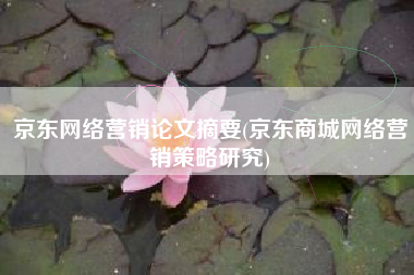 京东网络营销论文摘要(京东商城网络营销策略研究)