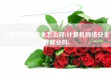 计算机网络安全怎么样(计算机网络安全好就业吗)